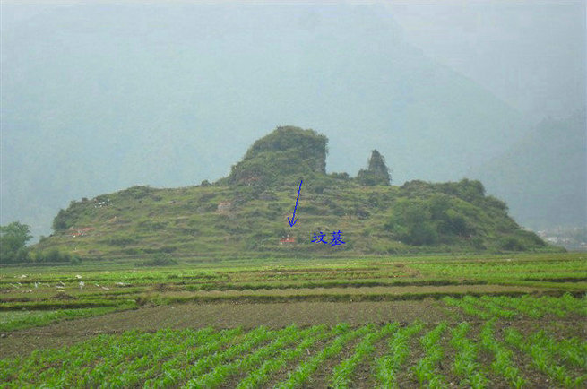 此地坟地风水图非本站案例,特上图片仅供大家学习鉴赏.